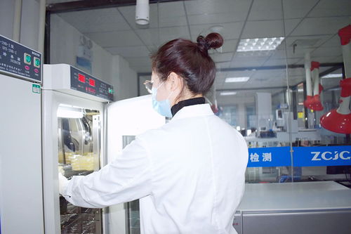 郑州食品检测 专业机构、服务体系与公众守护